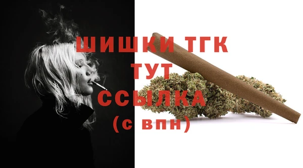 дурь Богданович