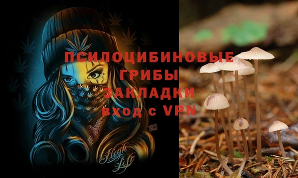 мяу мяу мука Богородск