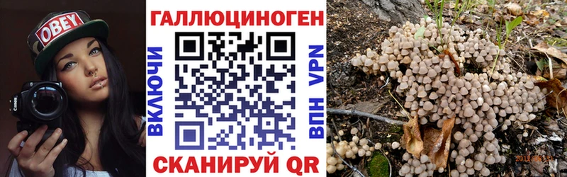 Купить где Донецк Псилоцибиновые грибы прущие грибы
